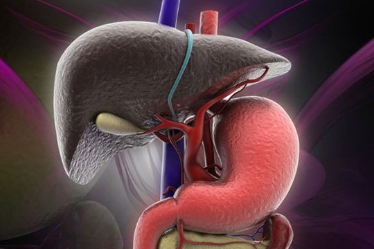 5 nguyên nhân khiến người Việt mắc và chết vì ung thư gan cao thứ 4 thế giới