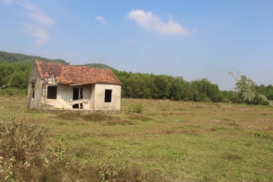 Yên Thành đề nghị thu hồi dự án trồng rừng “treo” 6 năm