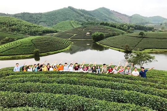 50 đơn vị lữ hành trên toàn quốc khảo sát Đảo Chè Nghệ An