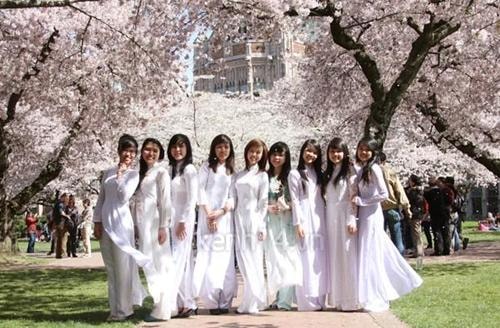 Cảnh báo lừa đảo, cung cấp thông tin sai lệch về du học Nhật Bản