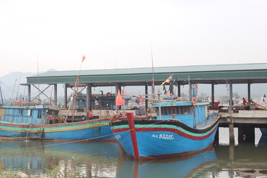 Cảng cá lớn nhất Nghệ An chuẩn bị hoạt động