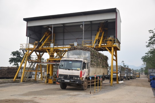 Công ty Cổ phần Mía đường Sông Con vào vụ ép mới