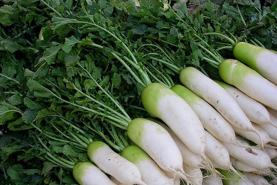 8 lợi ích không ngờ của củ cải