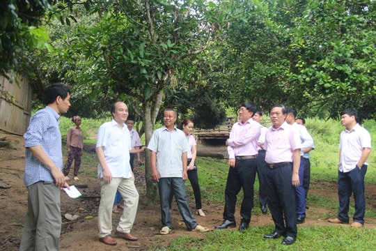 Động lực từ chính sách tín dụng với vùng dân tộc thiểu số