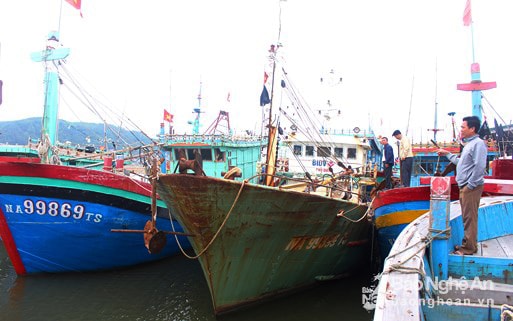 Thị xã Hoàng Mai: Hàng loạt tàu cá 67/CP “nằm bờ” nhiều tháng liền