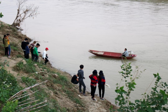 Cấm chèo thuyền chở khách ra ngắm cảnh bãi lau giữa sông Lam