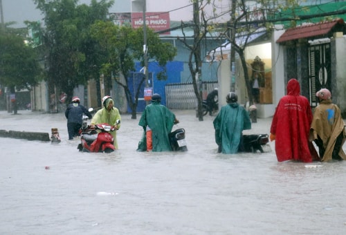 Sài Gòn mưa như trút nước, cây đổ đè người trọng thương