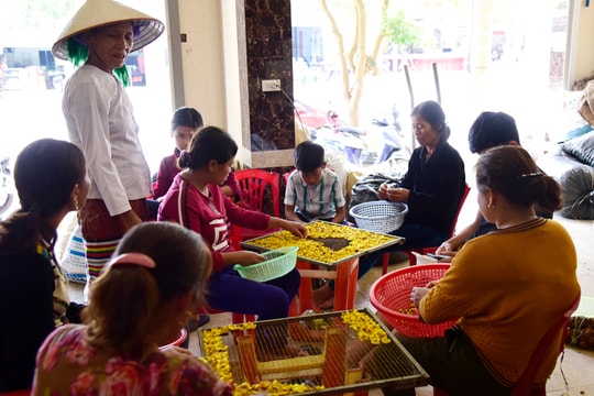 6 bước chế biến 'thần dược' chè hoa vàng