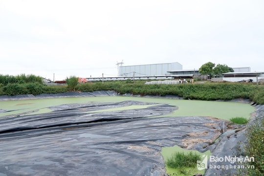 HĐND tỉnh Nghệ An chỉ ra nhiều tồn tại trong quản lý nhà nước về bảo vệ môi trường