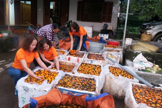 Nhóm thiện nguyện bán hồng gây quỹ giúp thanh niên bị cán nát chân