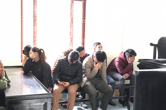 10 nam nữ rủ nhau vào vườn tràm đánh bạc ở Nghệ An