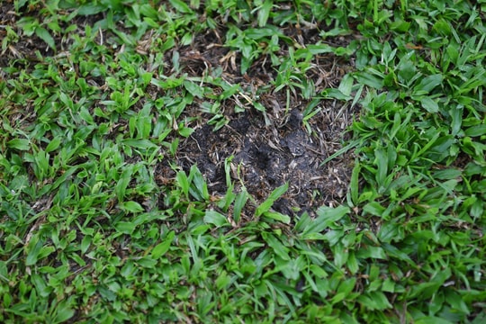 Cận cảnh sân nhà ĐT Philippines thua xa các sân bóng tại V.League