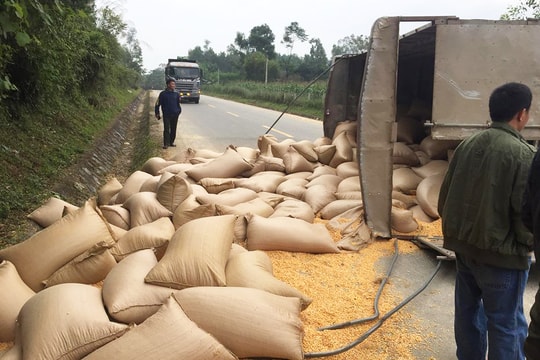 Ngô vương vãi khắp đường Hồ Chí Minh sau cú đâm giữa xe máy và ô tô tải