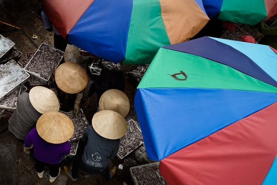 Đi tìm nguồn gốc chiếc “nón lá xứ Nghệ” nức danh một thời