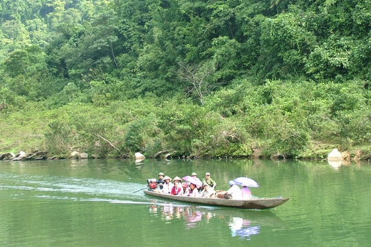 Ai được hưởng lợi từ Đề án Giảm phát thải vùng Bắc Trung bộ?