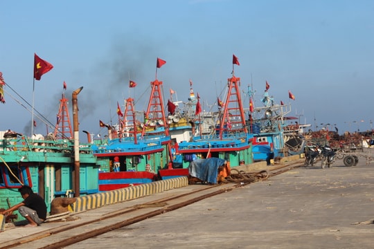 Bến cảng đầu tư hơn 400 tỷ đồng bị tàu cá ngư dân chiếm trọn