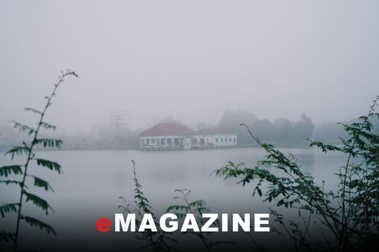 Sáng nay phố lại đầy sương