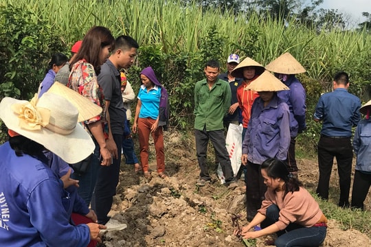 Chính sách dân tộc: Chưa có sinh kế thoát nghèo bền vững