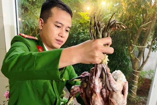 Nghệ An: Cảnh sát phát hiện hơn 1000 con chim trời đã bị giết thịt trong nhà hàng