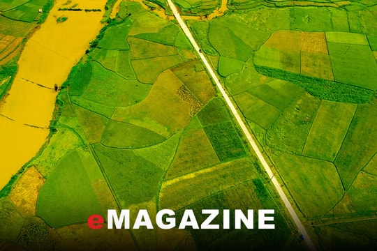 Phía sau những mô hình kinh tế “chết yểu” ở miền Tây Nghệ An