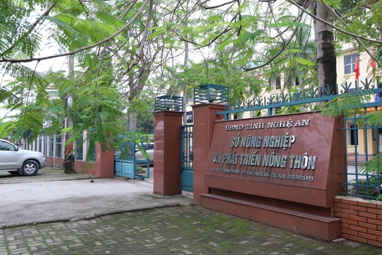 UBND tỉnh Nghệ An sẽ chỉ đạo tuyển dụng vào biên chế 44 lao động hợp đồng diện thu hút