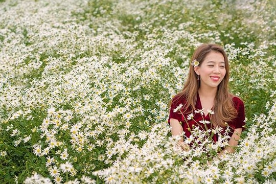 Nhan sắc MC nổi tiếng người Nghệ An qua năm tháng và cuộc sống hiện tại