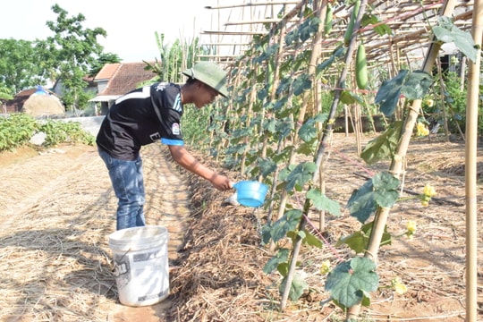 Nghệ An: Xây dựng vườn mẫu Nông thôn mới được hỗ trợ 15 triệu đồng