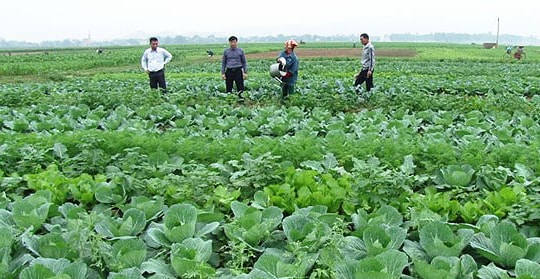 Thẩm định tiêu chí xây dựng nông thôn mới ở Hưng Nguyên