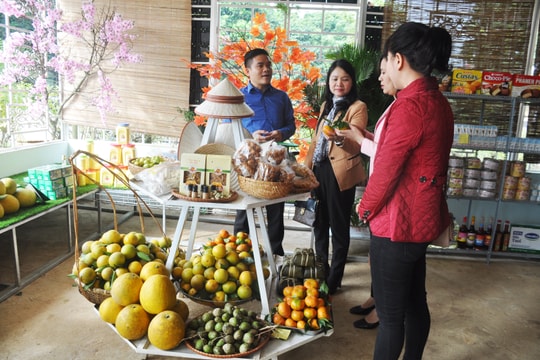 Nghệ An khai trương thêm gian hàng "tự hào hàng Việt Nam"