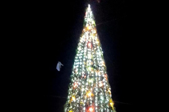 Nghệ An: Độc đáo cây thông hành tăm chào đón Giáng sinh 2018