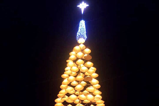 Độc đáo cây thông nón lá chào đón Noel