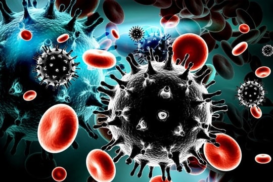 Liệu pháp miễn dịch trong chẩn đoán và điều trị ung thư