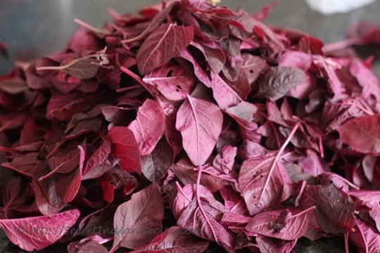 5 tác dụng phụ của rau dền bạn cần lưu tâm