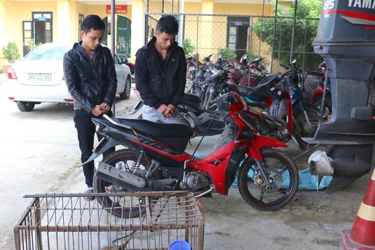 Cùng anh trai đi trộm chó rồi về bán cho... mẹ vợ