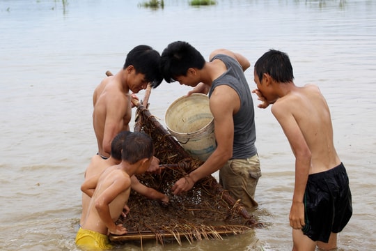 Mục sở thị những kiểu "săn" cua độc đáo ở Nghệ An