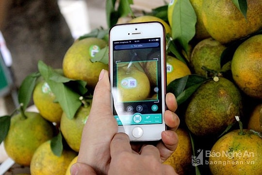 60 gian hàng tham gia Hội chợ cam Vinh - Nghệ An 2018