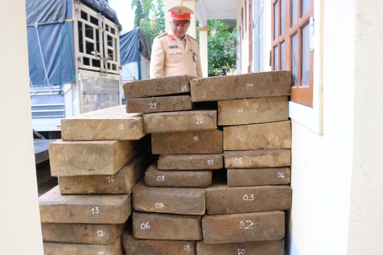 Tạm giữ xe mang biển số giả chở hơn 2,4 mét khối gỗ