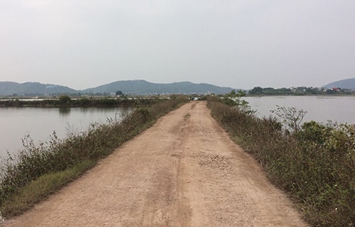 78 giờ đấu trí của cảnh sát với thiếu phụ giết bạn thân