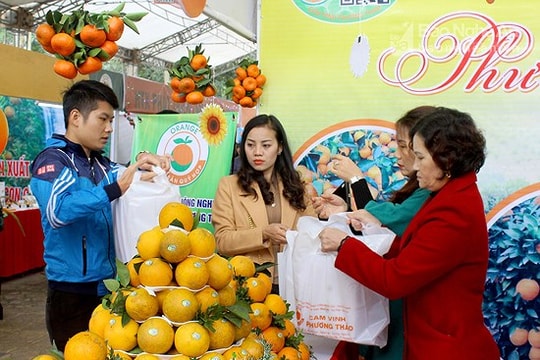 Hơn 36 tấn cam được tiêu thụ tại Hội chợ cam Vinh - Nghệ An 2018