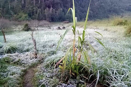 Không khí lạnh tiếp tục gây rét đậm, Bắc Bộ và Bắc Trung Bộ có nơi dưới 3 độ C