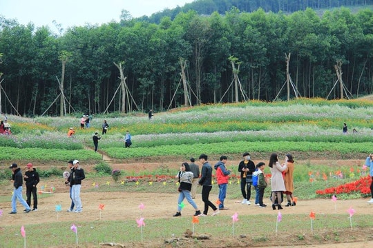 Thời tiết mưa rét, Nghệ An vẫn đón gần 92.000 lượt khách dịp Tết Dương lịch