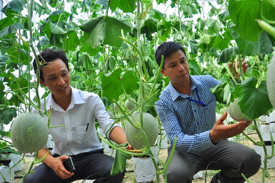 Bám trục nào trong sản xuất nông nghiệp để phát triển?