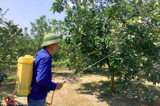 Giảm thiểu ô nhiễm môi trường do thuốc bảo vệ thực vật