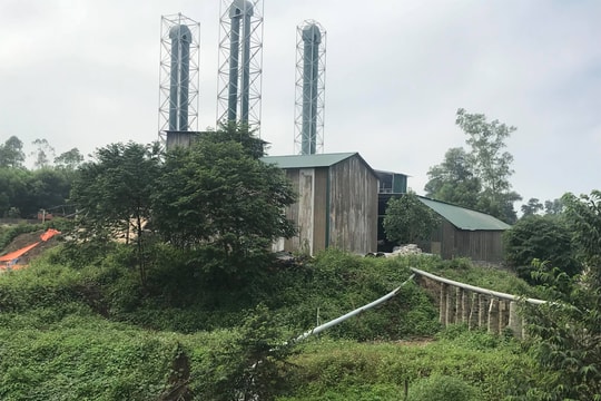 Bị xử phạt vì tự ý chuyển đổi mục đích sử dụng đất rừng sản xuất