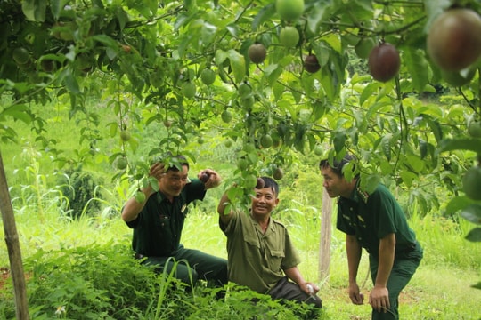 Phát động phong trào thi đua đặc biệt, nước rút hoàn thành mục tiêu năm 2019