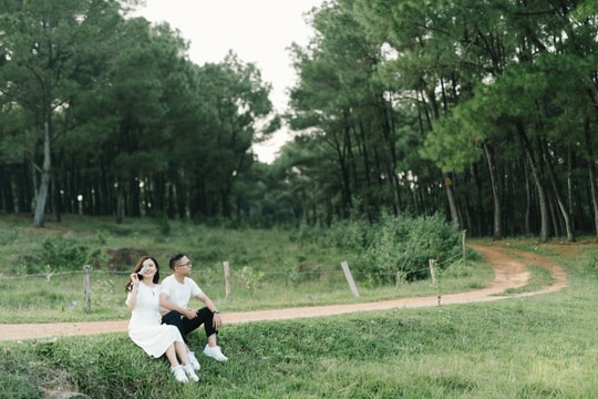 Ngẩn ngơ đồi thông Nam Đàn đẹp tựa như ở Đà Lạt