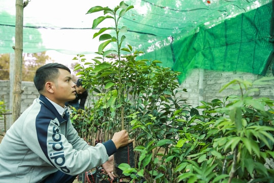 Chàng kỹ sư công nghệ thông tin đam mê với ngành nông nghiệp