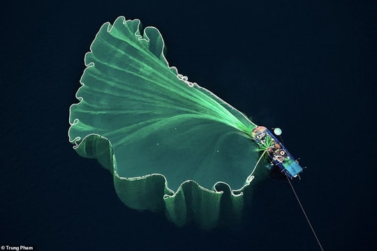 Ảnh thả lưới ở Việt Nam đoạt giải nhì cuộc thi flycam quốc tế