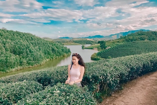 7 đồi chè 'sống ảo' đỉnh cao dành cho dân thích xê dịch ở Việt Nam