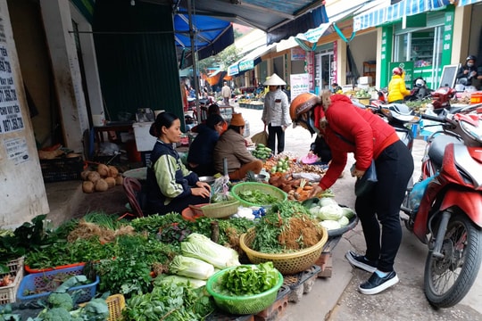 Cận Tết rau xanh khan hàng, tăng giá mạnh